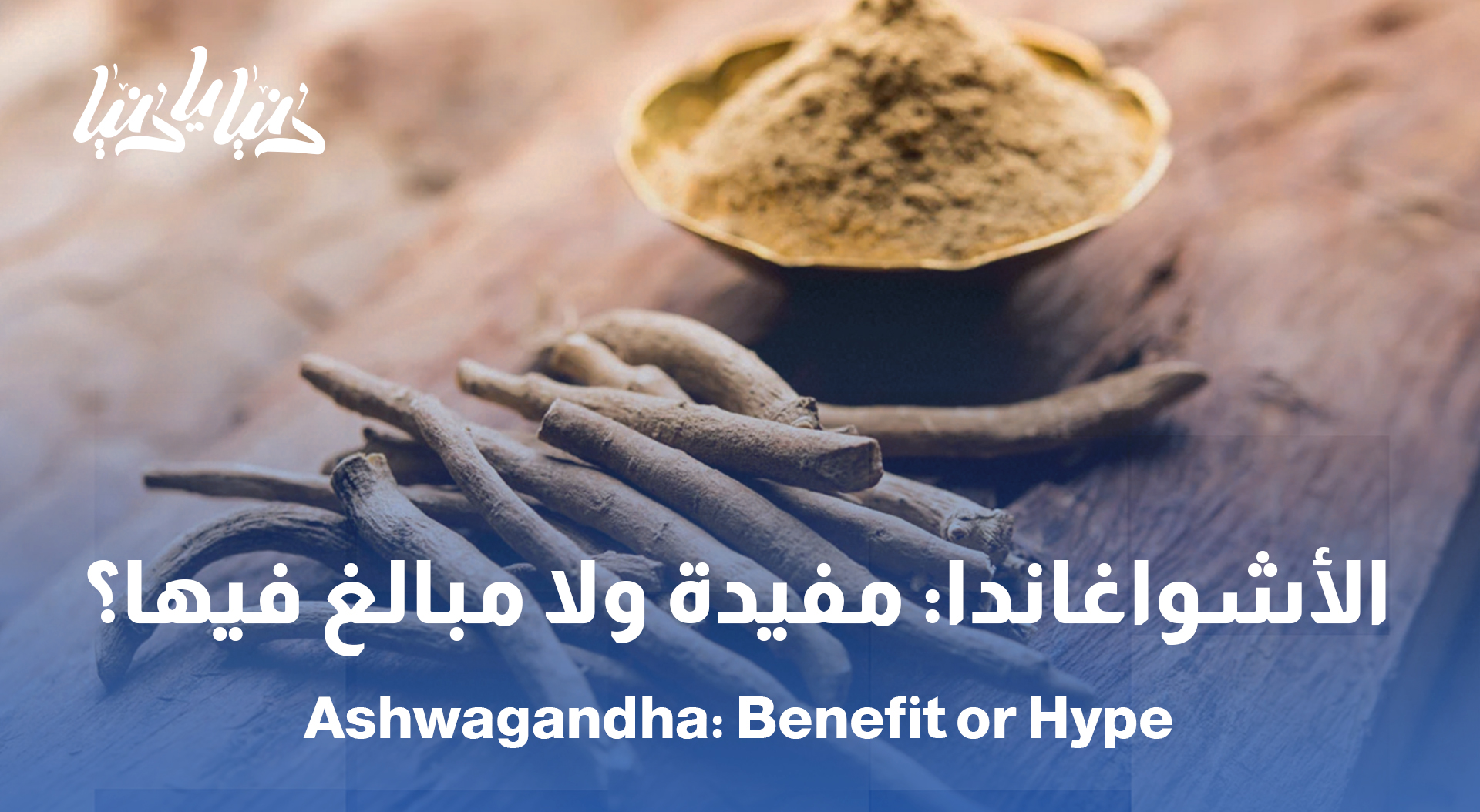 الأشواغاندا: عشبة اكتسبت شهرة عالمية .. هل هي آمنة لإدارة التوتر وتحسين النوم؟