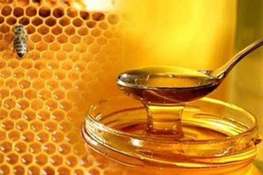غذاء العسل الصفحة الرئيسية