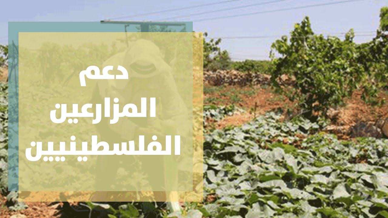 ورشات دعم للمزارعين الفلسطينيين في مؤسسة خليل السكاكيني