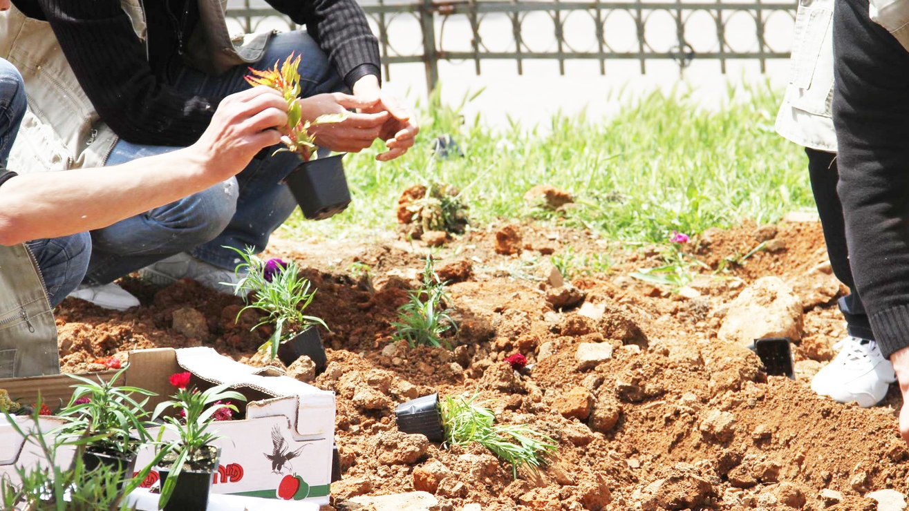 مشاريع ريادية زراعية الأولى في فلسطين بأيادي الشابات